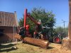 afzagen-boom-brandhout-gratis-boom-verwijderen-Meise
